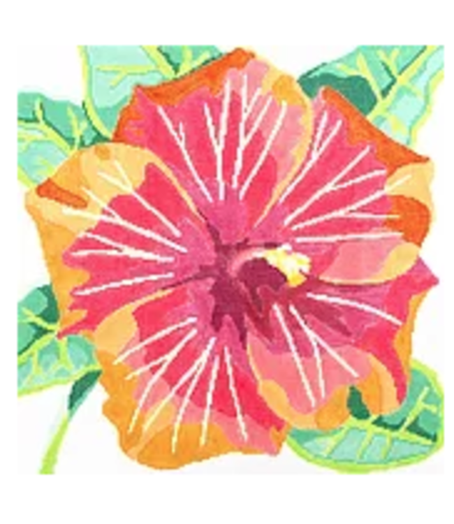 Tropical Hibiscus