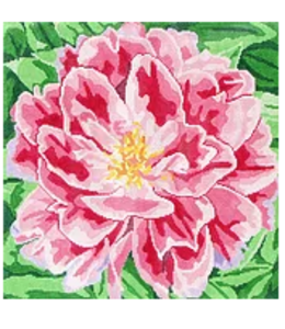 Ruffled Pink Peony