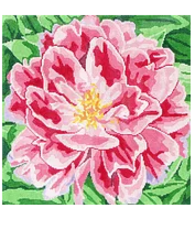 Ruffled Pink Peony