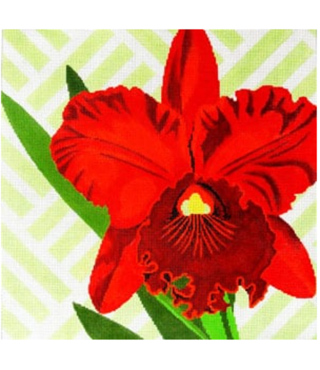 Red Orchid on Spring Green