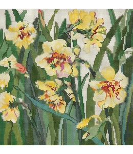 Daffodils