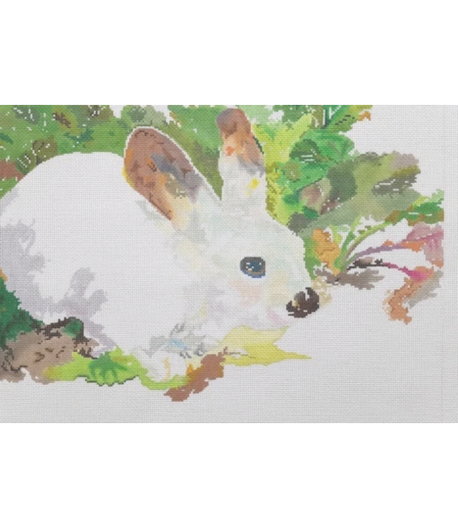 Bunny in Lettuce