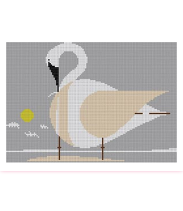 Trumpeter Swan