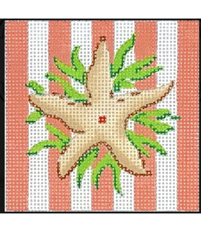 Insert Star Fish on Coral Cabana Strips