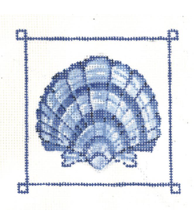 Blue Banded Scallop Shell