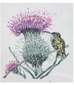 Thistle & Hummingbird