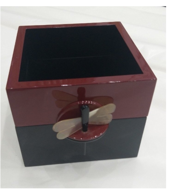 Lacquer Box - Dragonfly