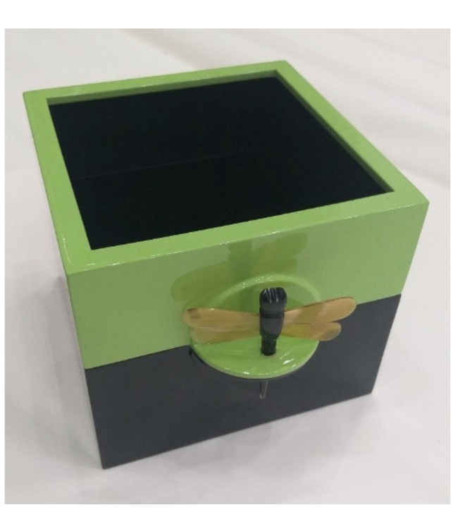 Lacquer Box - Dragonfly