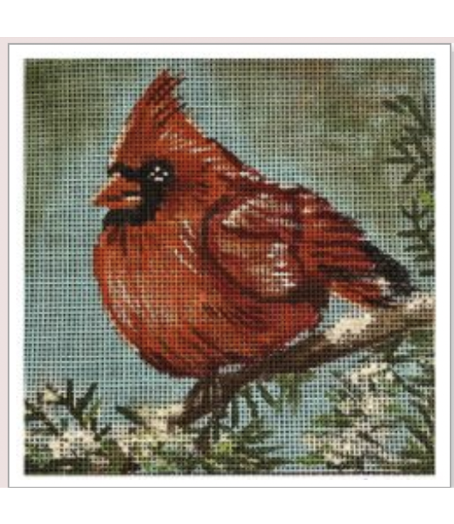 Red Cardinal