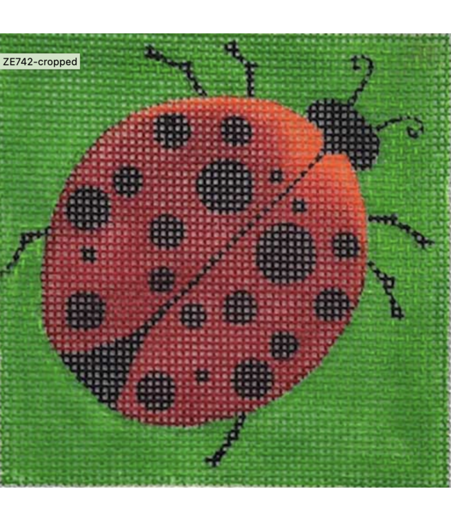 Small Ladybug Square