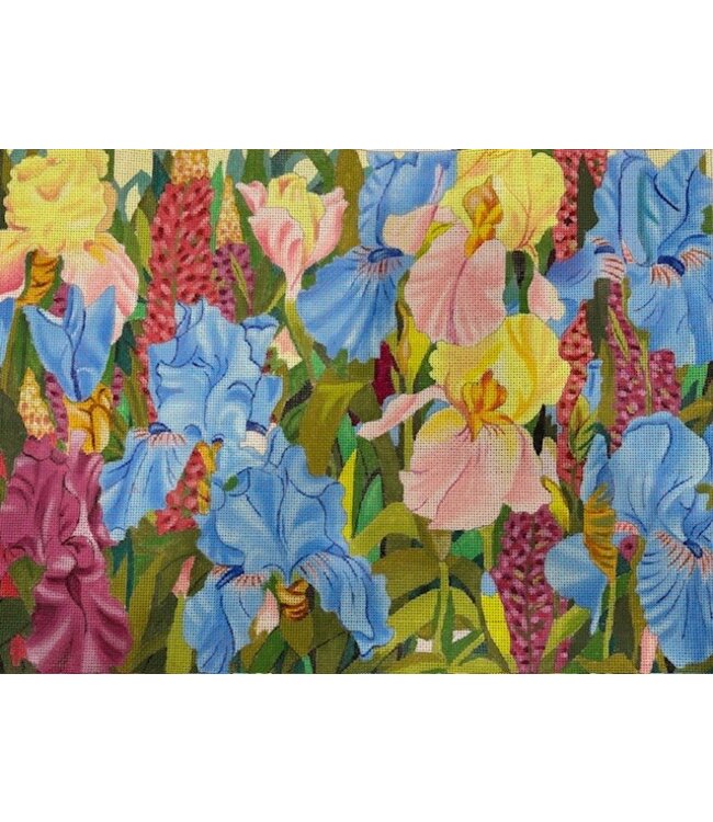 Iris Interlude