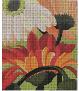 Peach Gerber Daisies