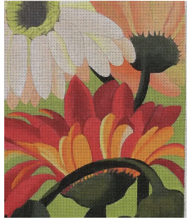 Peach Gerber Daisies