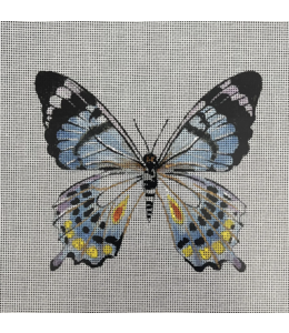 Beautiful Butterfly Blue/Purple/Yellow/Black