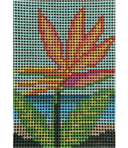 Bird of Paradise