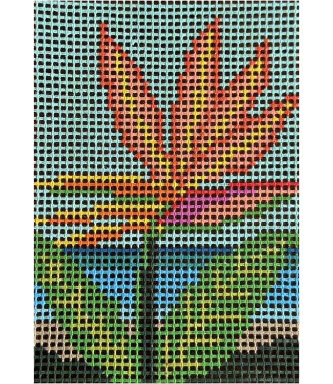 Bird of Paradise