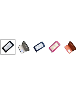All-in Wallet