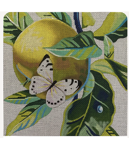 White Butterfly on Apple
