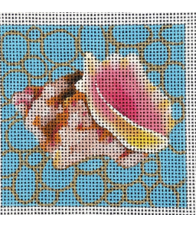 Conch