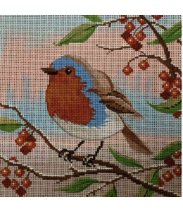 English Robin
