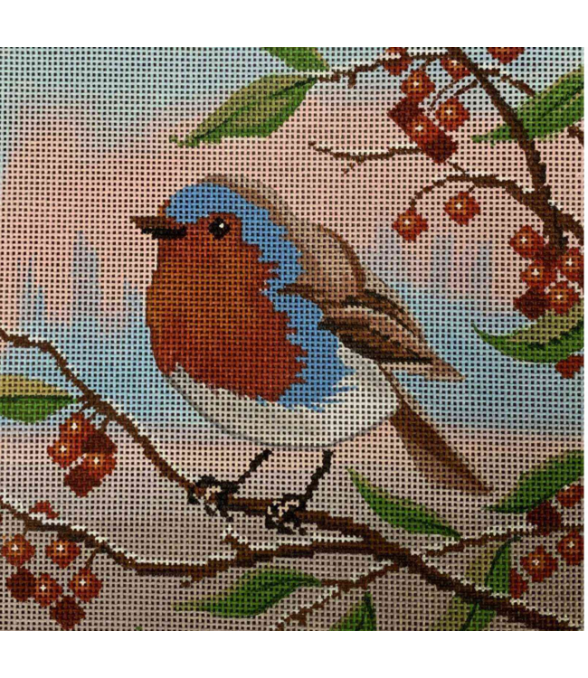 English Robin