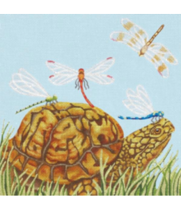 Turtle Schoolbus