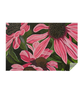 Pink Coneflowers