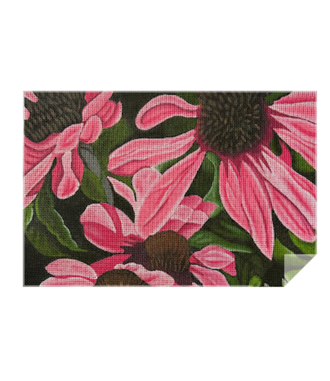 Pink Coneflowers