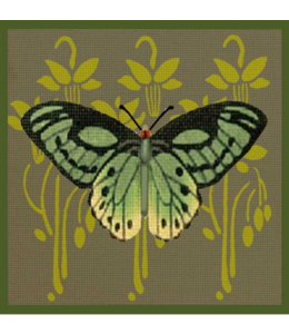 Green Butterfly