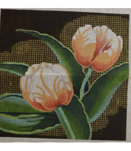 Squares - Tulips