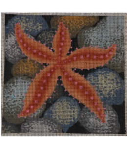 Star Fish