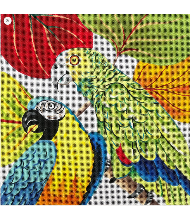 Beautiful Parakeets