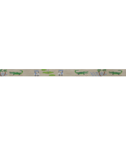 Florida Golf Belt