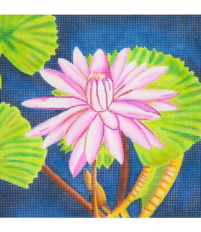 Pink Floral