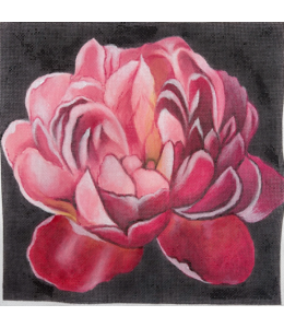 Vivid Floral