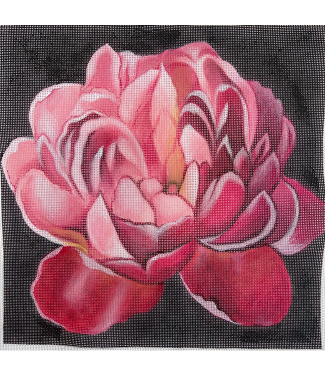 Vivid Floral