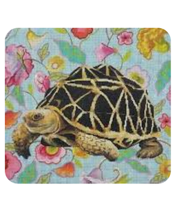 Turtle on Floral Background