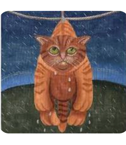 Drying in the Rain