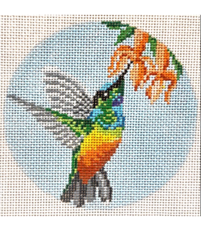 Golden Bellied Starfrontlet Hummingbird