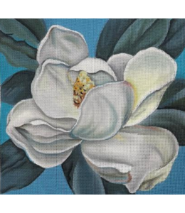 Southern Bloom