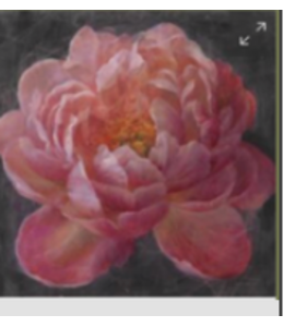 vivid floral