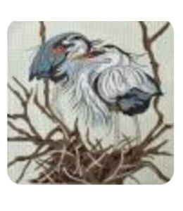 Herons Nesting