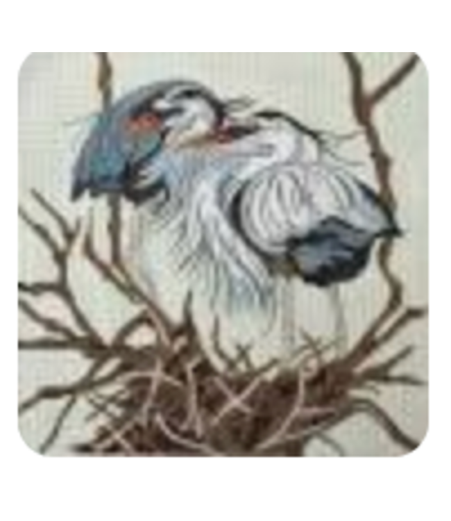 Herons Nesting