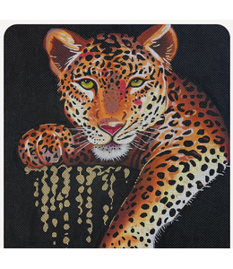 Leopard on Black