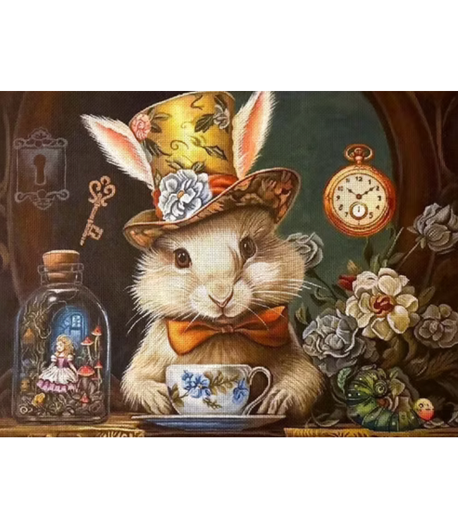 Rabbit in Wonderland
