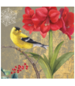 Winter Bird Goldfinch
