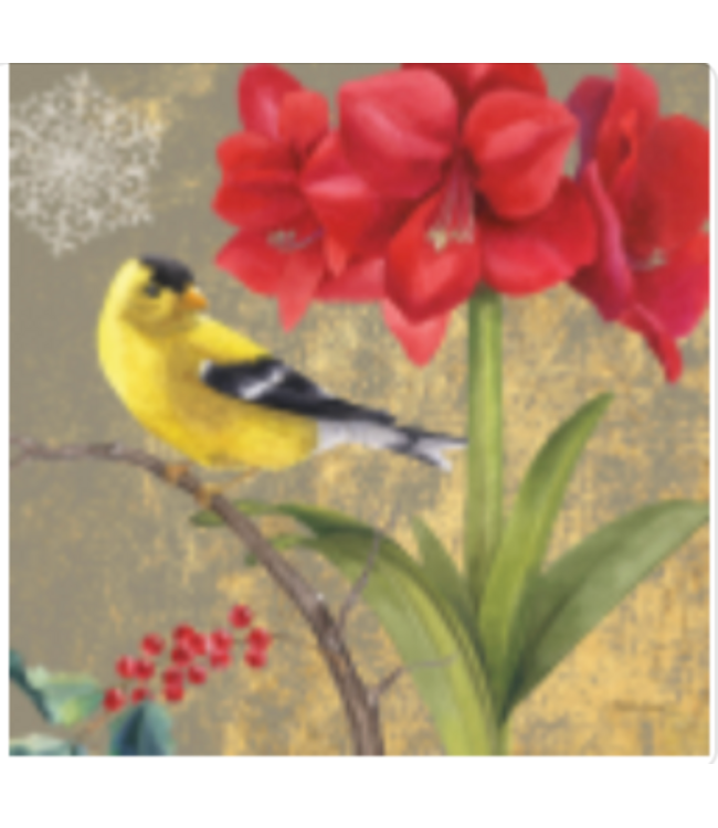 Winter Bird Goldfinch