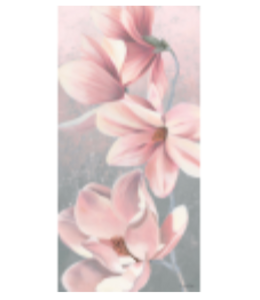 Sunrise Blossom 18 or 13ct