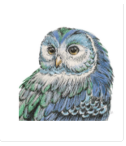 Peacock Beautiful Owl