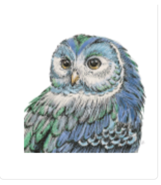 Peacock Beautiful Owl